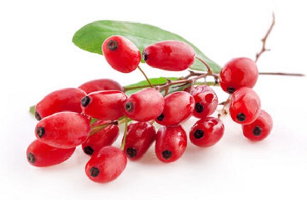 barberry berries for avoiding alcohol